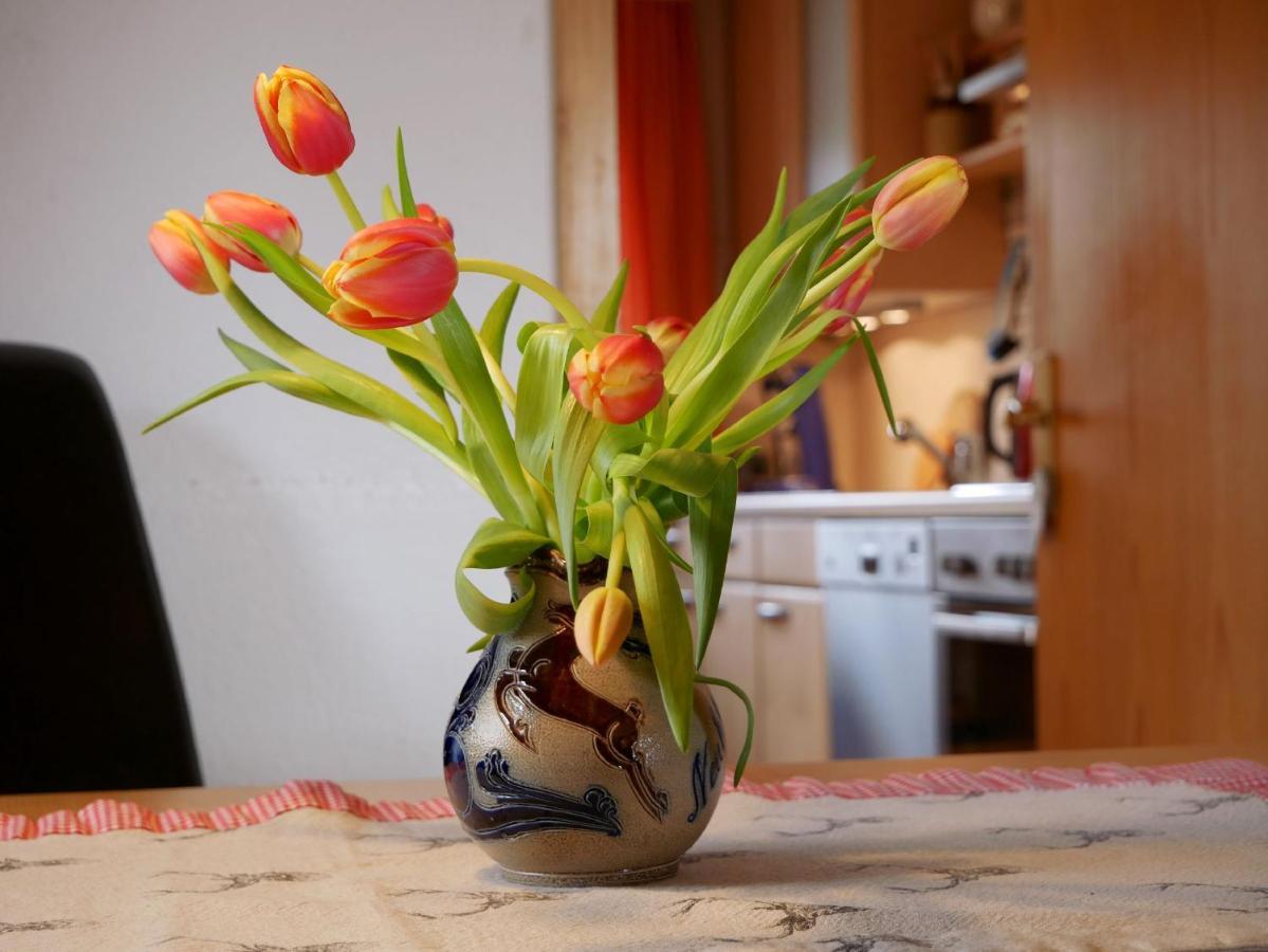 Apartament Haus Jurisch Urberg Zewnętrze zdjęcie
