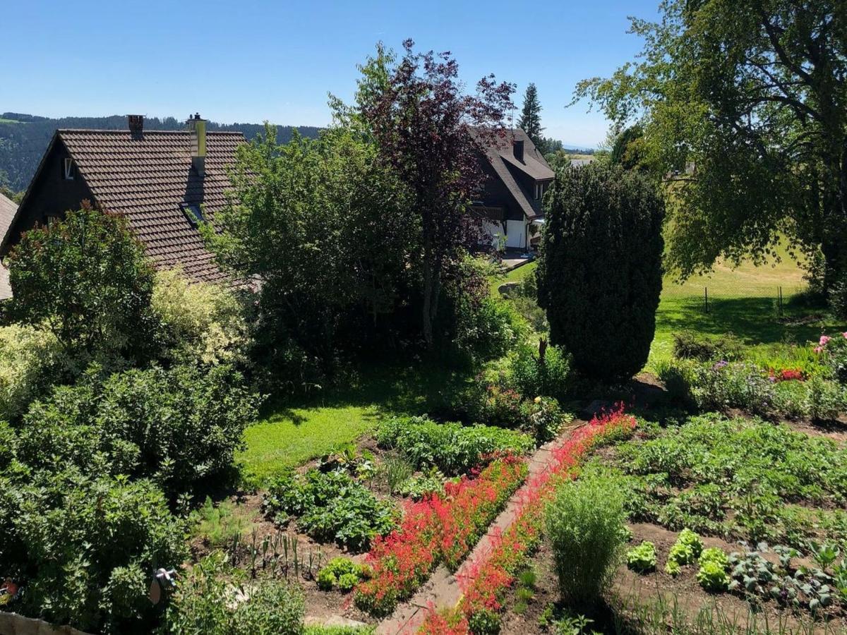 Apartament Haus Jurisch Urberg Zewnętrze zdjęcie